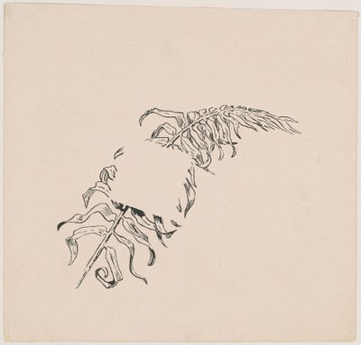 ブランチ 作： James Henry Moser