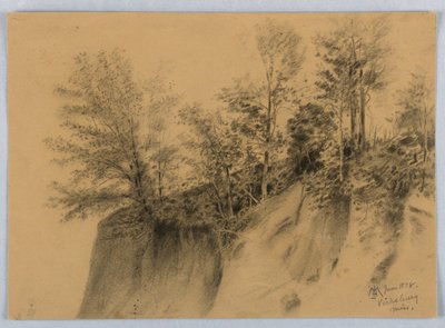 Cliff and Trees、ヴィックスバーグ、ミス。 作： James Henry Moser