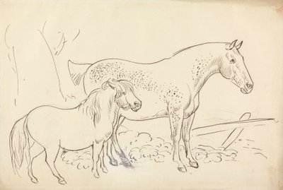 馬とポニー 作： James Howe