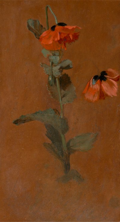 Study of Poppies   1433073   ja       japanese Successfully Translated  Original: Cinema queue Translat: Cinema queue 1455669 ja japanese Successfully Translated Original: Jules François Camille Ferry Translat: Jules François Camille Ferry 1439045 ja japan 作： James Inskipp