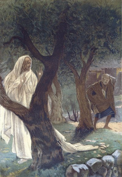 Christ Appeared to Saint Peter - Christ Appearing to Saint Peter - from "The Life of Our Lord Jesus Christ" - 1899 by James Tissot - La vie de notre seigneur Jesus Christ, by Jacques Joseph (Jacques-Joseph) Tissot dit James Tissot (1836-1902) 作： James Jacques Joseph Tissot