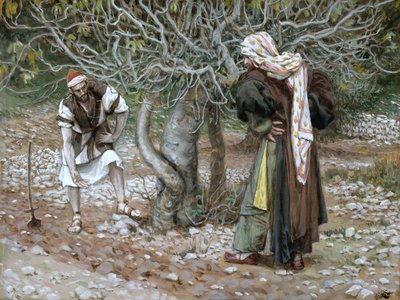 不毛のイチジクの木、「キリストの生涯」のイラスト、1886-94年（板紙にトイレとガッシュ） 作： James Jacques Joseph Tissot
