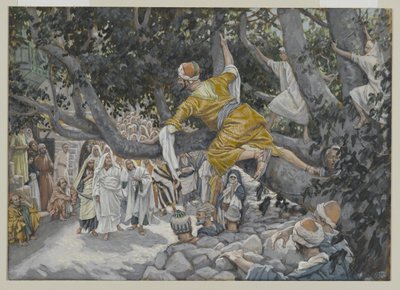 イエスの通過を待つシカモアのザッケウス、私たちの主イエスキリストの生涯からの挿絵、1886年から96年（紙の黒鉛の上にトイレ） 作： James Jacques Joseph Tissot