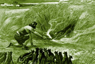 サムソンとJジェームズティソのキツネ-聖書 作： James Jacques Joseph after Tissot