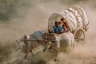 カソンの満月の日を飾る牛車レース。ビルマ、マンダレーの東に位置するパテインギー。 作： James L Stanfield