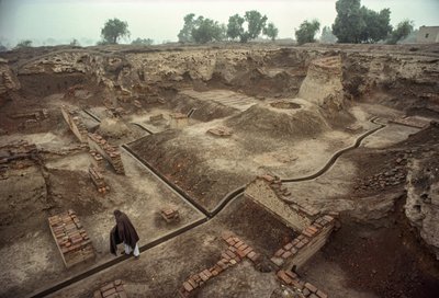 レンガ造りの壁、レンガ造りの井戸の跡で埋め尽くされた竪穴の概観。HARAPPA E... 作： James L Stanfield