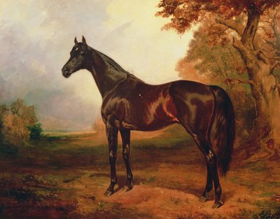 セントサイモン、1906 作： James Lynwood Palmer
