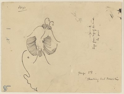 蝶（レクト）；蝶の断片（裏面） 作： James McNeill Whistler