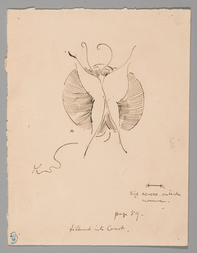 蝶（レクト）；蝶の断片（裏面） 作： James McNeill Whistler