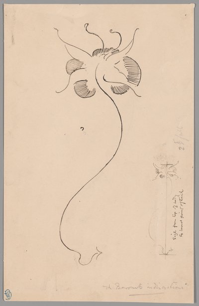 蝶（レクト）；蝶の習作（裏面） 作： James McNeill Whistler
