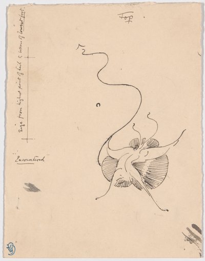 蝶 "遭遇"（レクト）、テールピースのスケッチ（裏面） 作： James McNeill Whistler