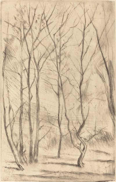 ダムウッド 作： James Abbott McNeill Whistler