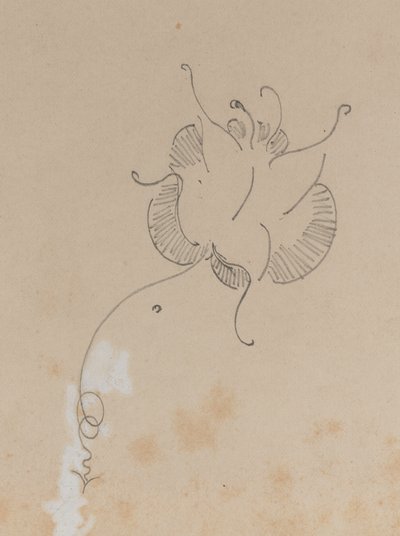 ウィスラーの蝶 作： James Abbott McNeill Whistler