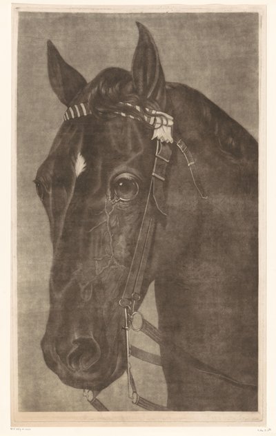 手綱をつけた馬の頭 作： James Newman Hodges