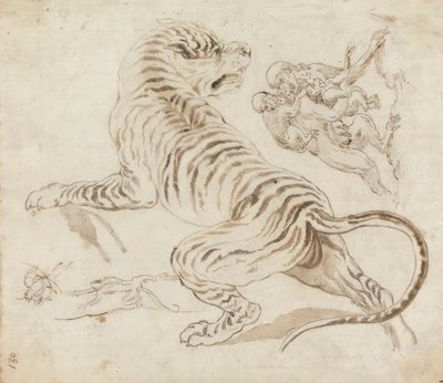 虎と猿の習作 作： James Northcote