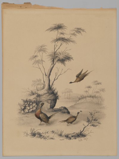 3つのキジ、1873（紙に黒鉛＆トイレ） 作： James Ryder van Brunt