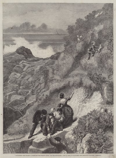 群れを集めて、ウェールズの海岸のシーン 作： James Sant