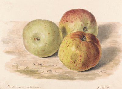 The Summer Lodden, setembro de 1832: um estudo de natureza morta de três maçãs 作： James Sillett