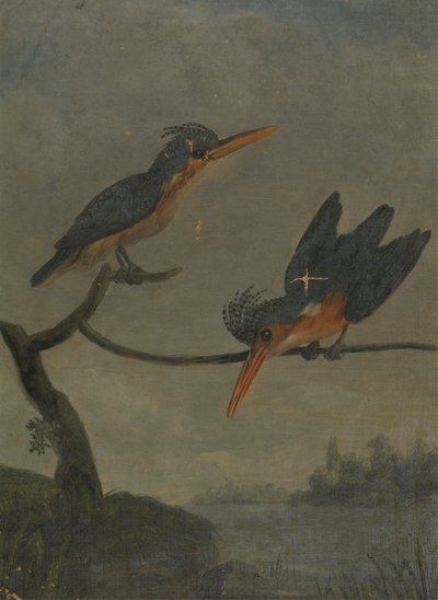 湖のそばの 2 つのカワセミ 作： James Sowerby