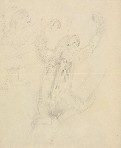 二匹のナマケモノ 作： James Sowerby
