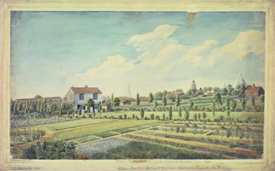 ウィリアム・カーティスの植物園、ランベス・マーシュ、1787年頃（水彩・紙 作： James Sowerby