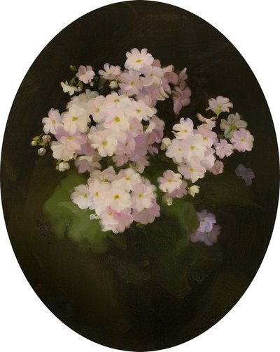 プリムラス、20世紀（キャンバスに油彩） 作： James Stuart Park