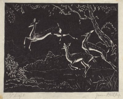 飛翔（木版画） 作： James W. Reid