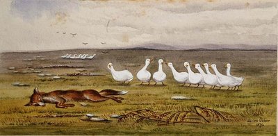 A Game of Fox and Geese 作： James W. Usher