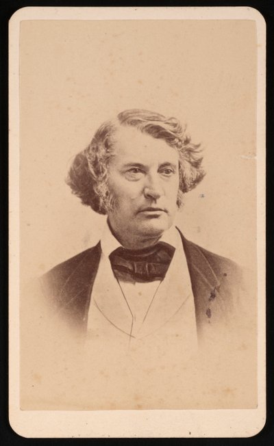 チャールズ・サムナーの肖像 1811年～1874年以前 作： James Wallace Black
