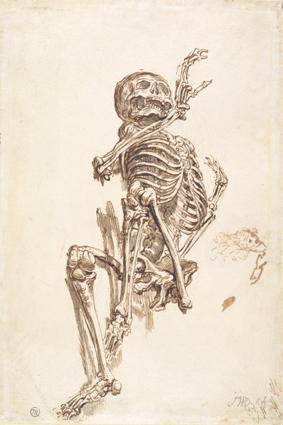 人間の骨格（ペンとインクで紙に鉛筆と鉛筆）（直腸） 作： James Ward