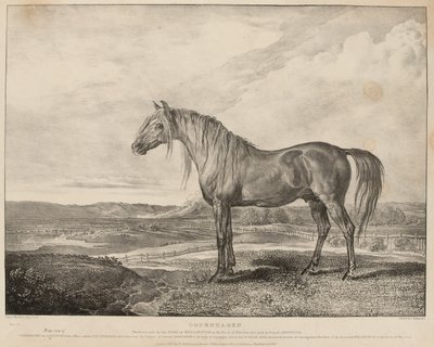 コペンハーゲン ワーテルローの戦いでウェリントン公爵が乗った馬は、グロブナー将軍が飼育していたもので、1824年頃（リトグラフ 作： James Ward