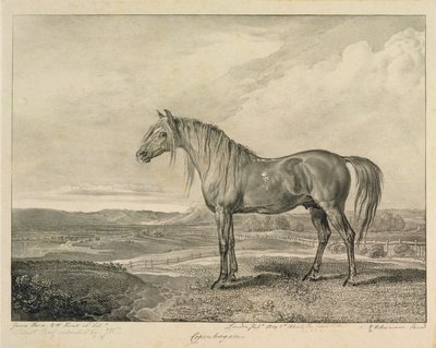 コペンハーゲン、アーティスト、1823-24によって発行された14枚のレーシングプリントのセット「Celebrated Horses」から 作： James Ward