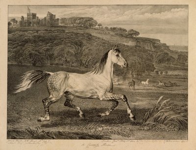 コサックホース、有名な馬からのアーティスト、1823-24によって発行された14のレーシングプリントのセット 作： James Ward