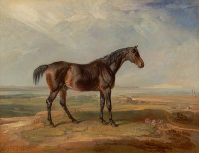 Dr. Syntax、湾の競走馬、河口の向こうの海岸の風景に立つ 作： James Ward