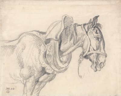 馬車馬の頭と肩 作： ジェームズワード