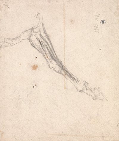 馬の前肢-おそらくテートギャラリーでの1827年のL&39;AmourdeChevalの研究 作： James Ward