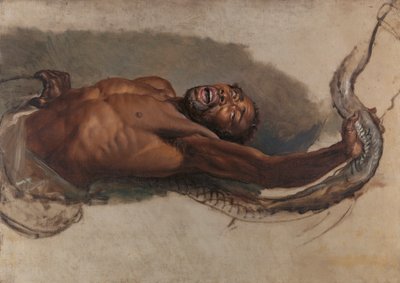 ボアコンストリクターと格闘する男、「獲物を捕らえるリボヤヘビ」の研究 作： James Ward