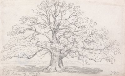 ハワード氏の大きなオーク、1820 年 8 月 5 日 作： James Ward