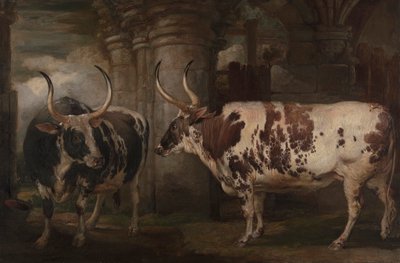 ポウィス伯爵の所有物である 2 頭の特別な牛の肖像画 作： James Ward