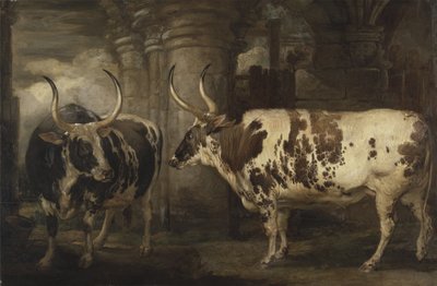 ポーウィス伯爵の所有物である2頭の並外れた牛の肖像画 作： James Ward