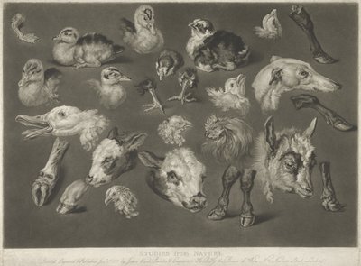自然からの研究、1807 作： James Ward