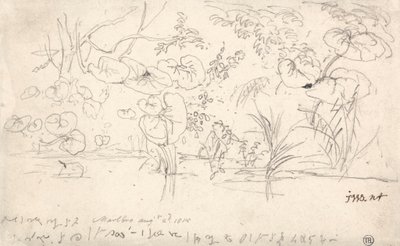 植物の研究、1815 年 8 月 2 日 作： James Ward