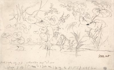 植物の研究、1815年8月2日 作： ジェームズワード