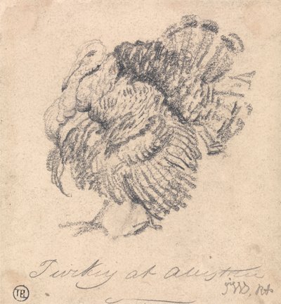 七面鳥の研究 作： James Ward