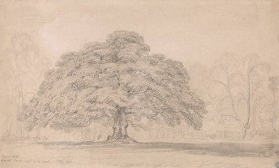 1820年8月12日、バゴッツ・パーク、乞食の樫（スタフォードシャーのバゴット卿のブリスフィールド・ホール邸にある有名な古木） 作： ジェームズワード