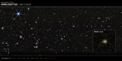COSMOS領域のMoM-z14銀河（NIRCam画像） 作： James Webb Space Telescope (NASA)