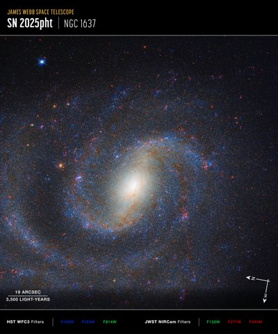 NGC 1637 コンパス画像 作： James Webb Space Telescope (NASA)