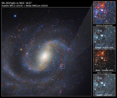 NGC 1637内のSN 2025pht 作： James Webb Space Telescope (NASA)