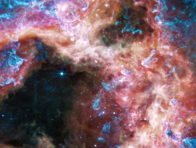 タランチュラ星雲（MIRI画像） 作： James Webb Space Telescope (NASA)