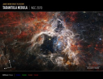 タランチュラ星雲（NIRCamコンパス画像） 作： James Webb Space Telescope (NASA)